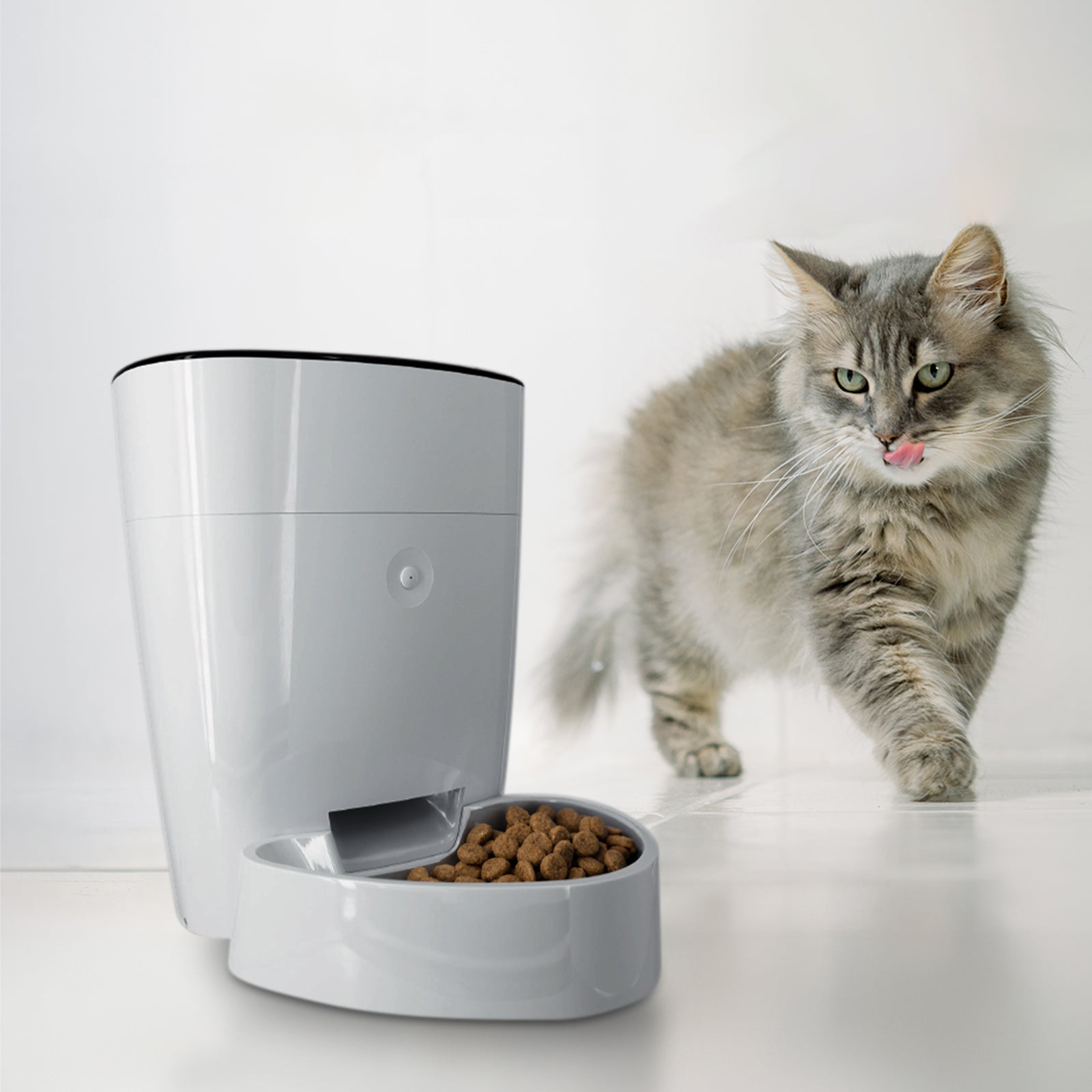 Arlec 4L Automatic Pet Feeder – smart pet feeder, automatic dog feeder, Grid Connect pet food dispenser
