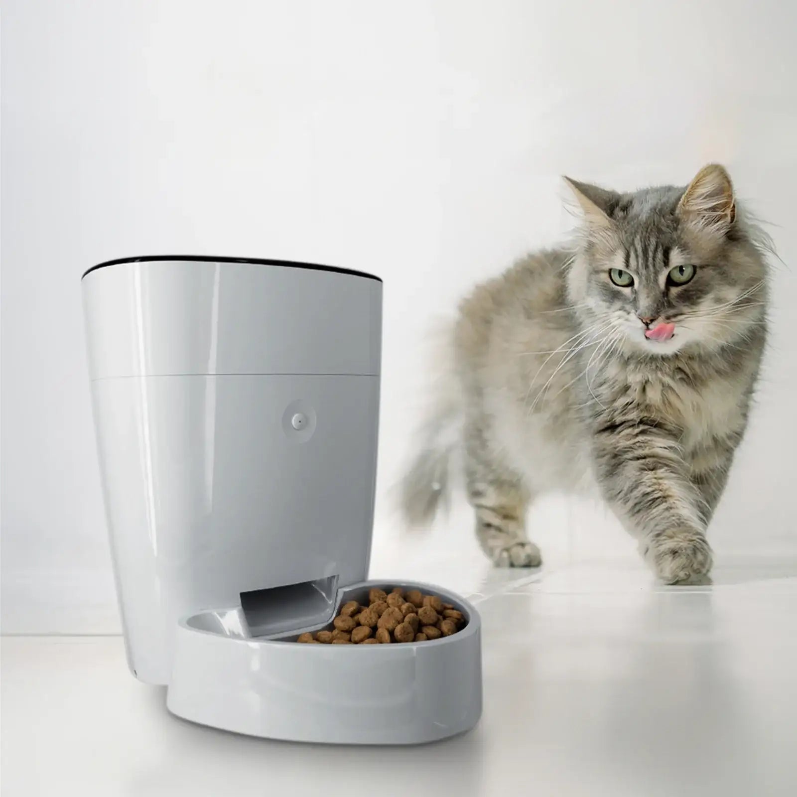 Arlec 4L Automatic Pet Feeder – smart pet feeder, automatic dog feeder, Grid Connect pet food dispenser