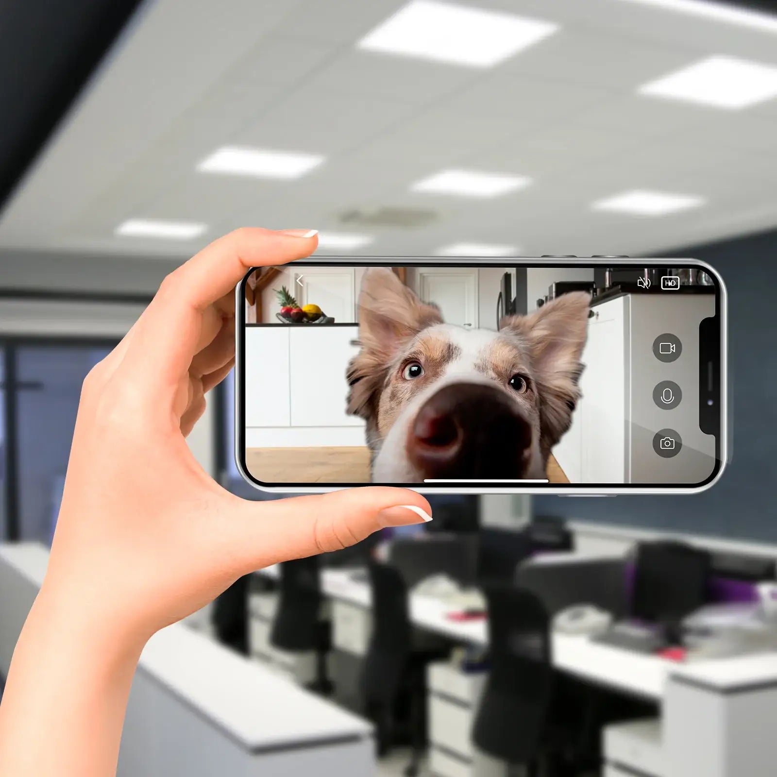 Arlec 5L Grid Connect Smart Pet Feeder with Camera – smart Wi-Fi pet feeder, automatic food dispenser with camera, Grid Connect smart feeder