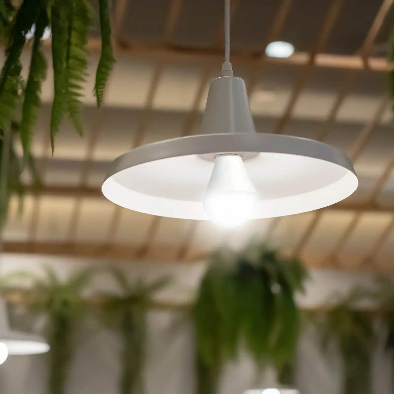 Smart B22 LED light globe with RGB, CCT control, app dimmable, Grid Connect, voice assistant ready