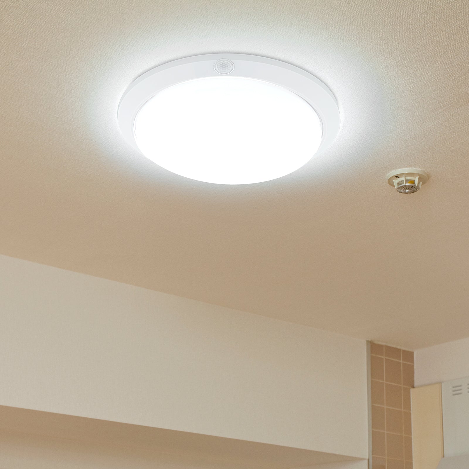 Arlec White DIY LED Oyster Sensor Light - motion sensor light, energy efficient LED, easy DIY installation