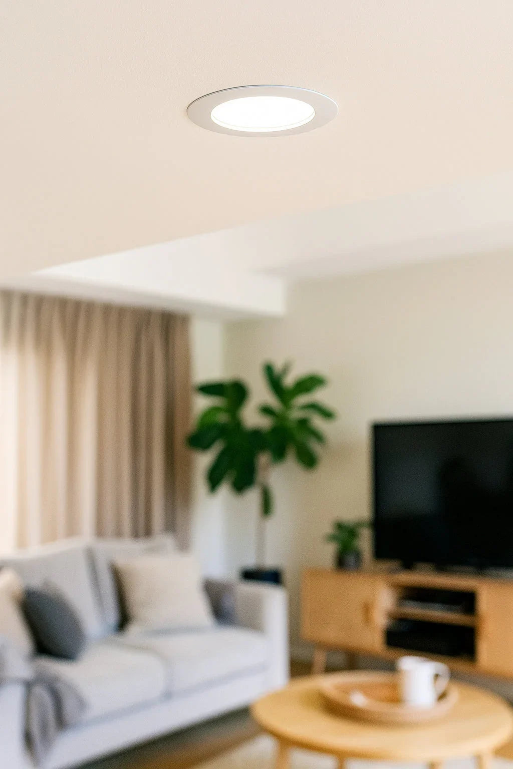 Modern ceiling downlight in a cozy living room with sofa, TV, and indoor plant