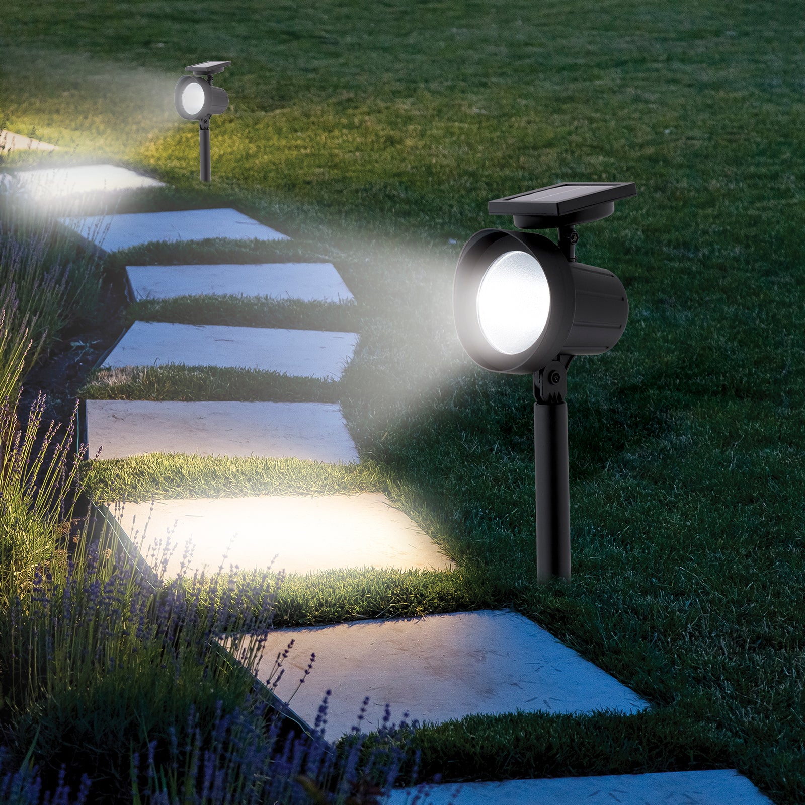 Arlec 20 lumen garden spotlight – solar-powered outdoor path light with dusk sensor and IP44 weather protection