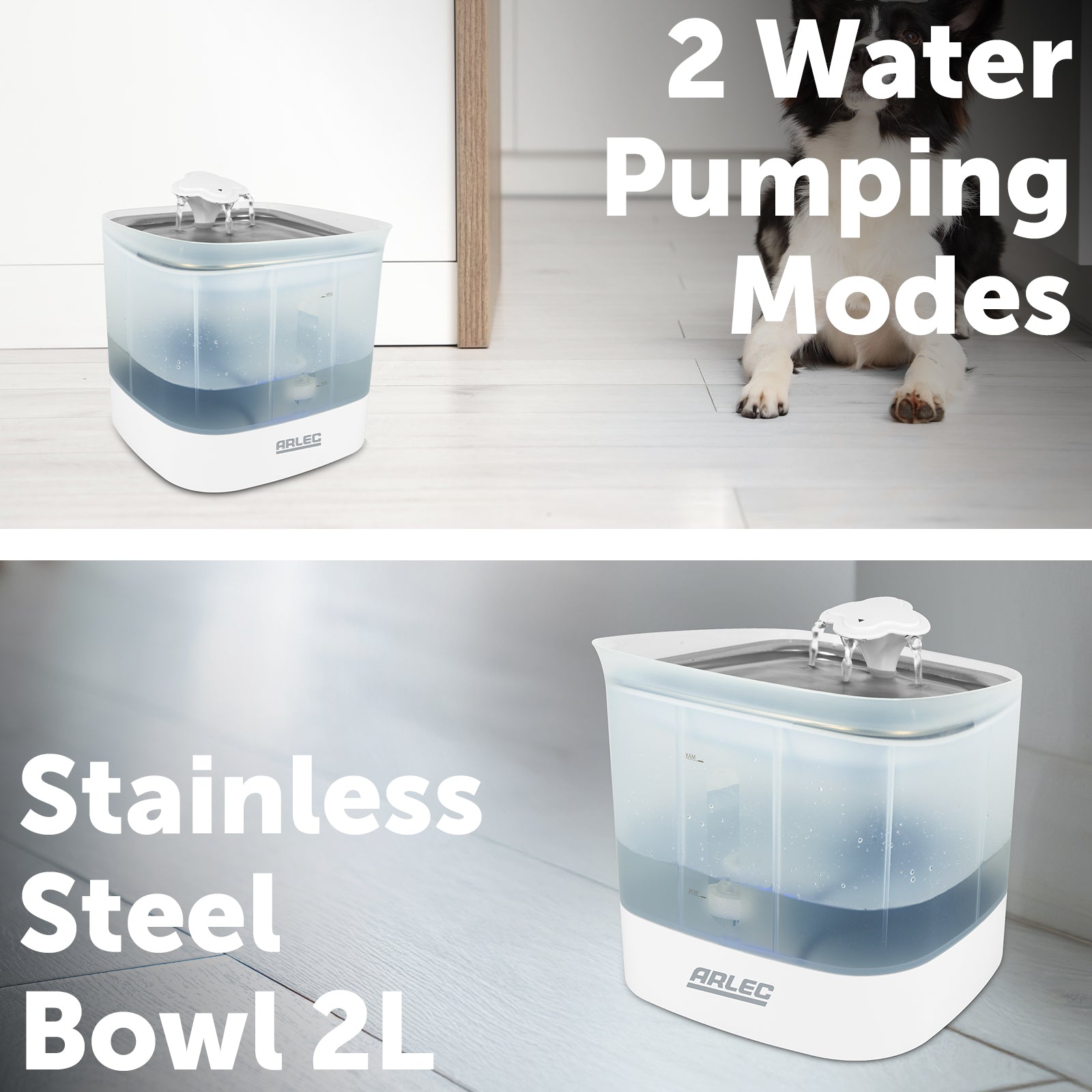 Automatic pet water fountain with 2L tank, stainless steel bowl, and replaceable filters for clean drinking water