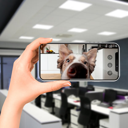 Arlec 5L Grid Connect Smart Pet Feeder with Camera – smart Wi-Fi pet feeder, automatic food dispenser with camera, Grid Connect smart feeder