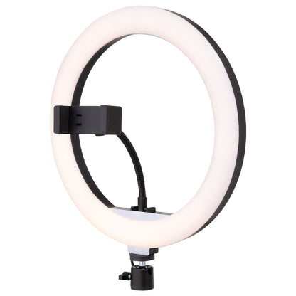 Arlec 26cm CCT ring light, professional lighting for makeup or streaming