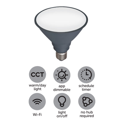 Smart PAR38 LED globe with E27 base, 1350 lumens brightness, CCT adjustment, and app-controlled scheduling