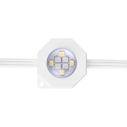 5m RGB CCT smart wall washing lights, Grid Connect app controlled by Arlec