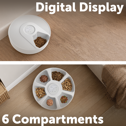 Arlec White Automatic Pet Feeder for Wet & Dry Food