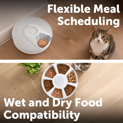 Arlec White Automatic Pet Feeder for Wet & Dry Food